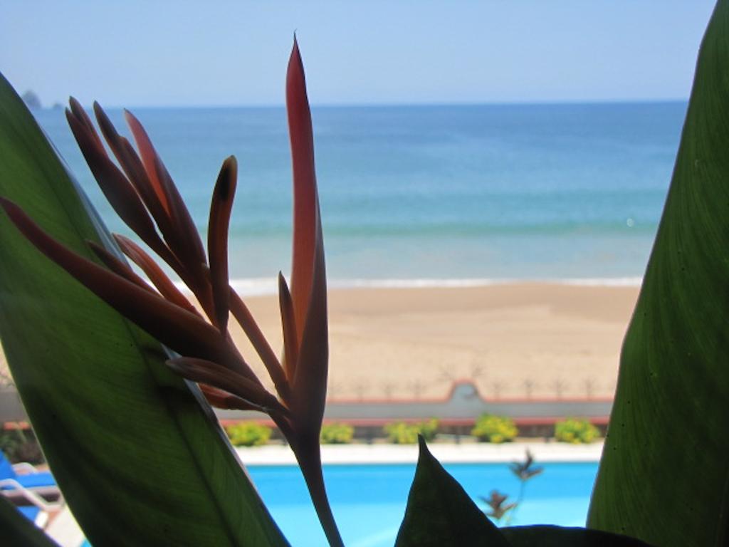 La Paloma Oceanfront Retreat 호텔 산 파트리시오 멜라케 객실 사진